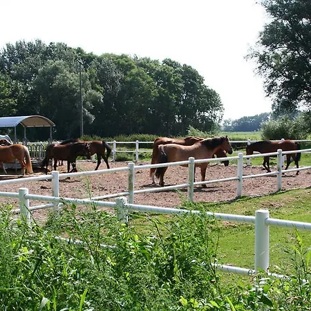 Ferienhof Peter An Der Nordsee Vollerwiek